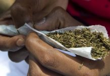 Grand-Dakar: 500 g de chanvre indien trouvés dans la malle d’un livreur
