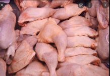 Trafic de cuisses de poulet : la marine a saisi 305 sacs