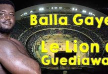 Lutte : découvrez le parcours de Balla Gaye 2, lion de Guédiawaye