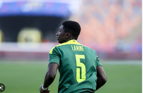 CAMARA LAMINE
