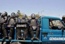Pour faciliter au public l’accès au service: La gendarmerie a créé un nouveau numéro d’appel au secours