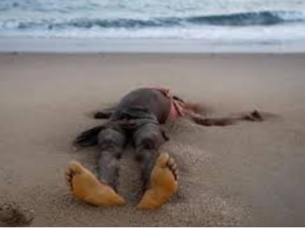 DECOMPOSE