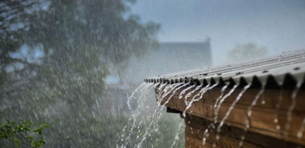 PLUIE