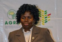 PRIX AFRICAIN DE L’ALIMENTATION DAKAR 2025: Dr Mercy Diebiru-Ojo, du Nigéria et Pr Mary Abukutsa Onyango, du Kenya, remportent le Prix