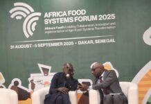 Forum africain sur les systèmes alimentaires : un succès record au Sénégal