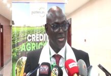 Développement économique : PAMECAS contribue à hauteur de 118 milliards Fcfa de financements