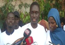Résistance des esclaves wolof : les étudiants du Ceew/Mbotaayu Leppiy Wolof préparent une adresse au maire de Gorée