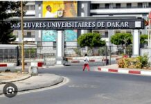 Université Cheikh Anta Diop: les nouvelles mesures du DG Ndéné Mbodji