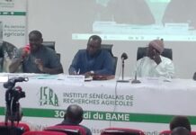 Trentième édition des Mardis du BAME : l’ARM réaffirme son engagement indéfectible pour la protection des acteurs locaux