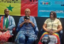 Première édition de la Coupe d’Afrique de Roc k’n’Roll Acrobatique à Dakar: 12 pays attendus ce samedi au centre Culturel Régional Blaise Senghor