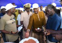 TOURNÉE NATIONALE DU SUIVI AGRICOLE: Le ministre de l’Agriculture, Cheikhou Oumar Ba, à l’écoute des producteurs dans quatre régions du Sénégal