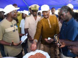 TOURNÉE NATIONALE DU SUIVI AGRICOLE: Le ministre de l’Agriculture, Cheikhou Oumar Ba, à l’écoute des producteurs dans quatre régions du Sénégal